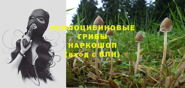 mix Баксан