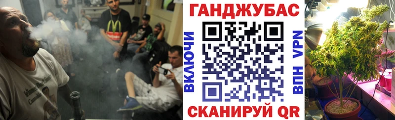 Шишки марихуана сатива  Тырныауз 